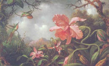 Martin Johnson Heade Orchids and Hummingbirds oil painting image